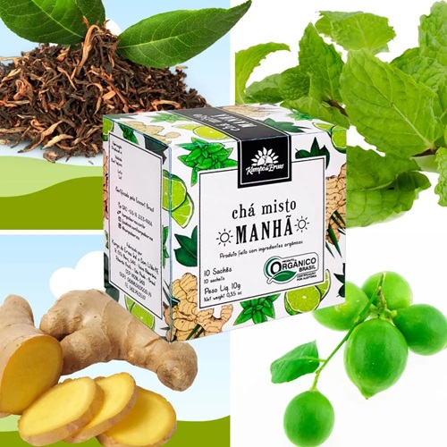 Kit Harmonia Manhã Chá Verde Menta Gengibre Limão 60 Sachês